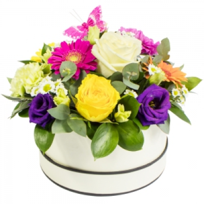 Simply The Best - Vibrant hat box arrangement in a lovely mix of colours. 

